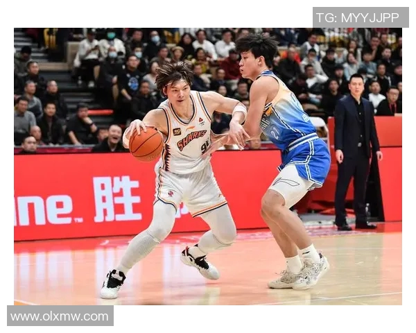 王哲林在CBA季后赛中的精彩表现与球队夺冠之路分析