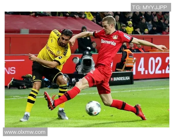 德甲主场热血澎湃，球迷助威声浪惊天动地